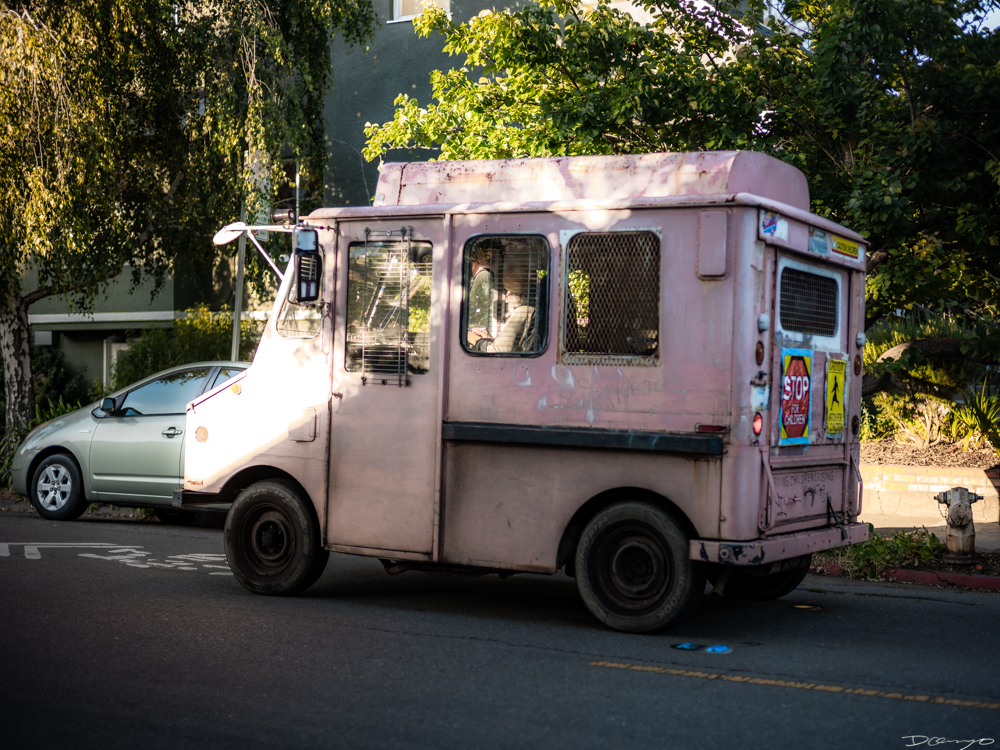 Photos of flowers, focaccia, fun Lucky Charms, and pretty Berkeley neighborhood sights.